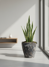 Vaso terracota artesanal  EXC 4, feito à mão Portugal, decoração wabi-sabi, farmhouse, Japandi, minimalista, mediterrânica, cottagecore e moderno. Decoração e design de interiores; decoração e design biofílico;