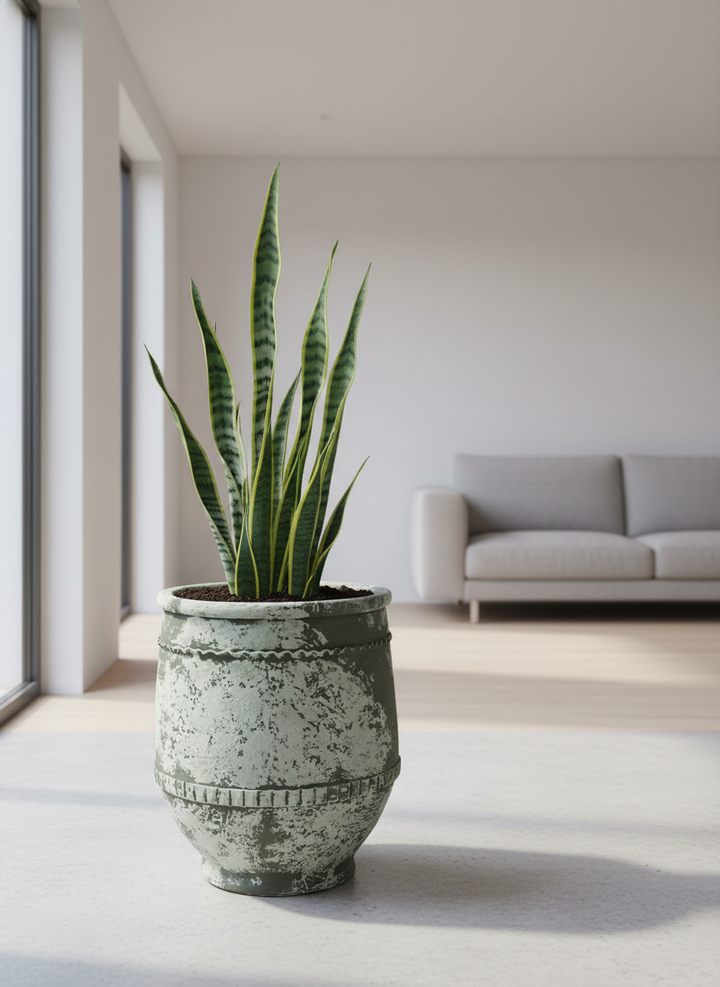 Vaso terracota artesanal Alba B feito à mão Portugal, decoração farmhouse, Japandi, minimalista, mediterrânica, cottagecore e moderno. Decoração e design de interiores; decoração e design biofílico;