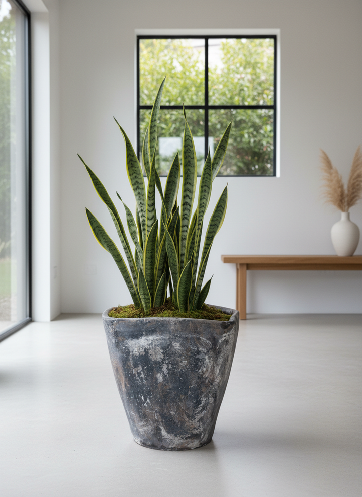 Vaso terracota artesanal  EXC 4, feito à mão Portugal, decoração wabi-sabi, farmhouse, Japandi, minimalista, mediterrânica, cottagecore e moderno. Decoração e design de interiores; decoração e design biofílico;
