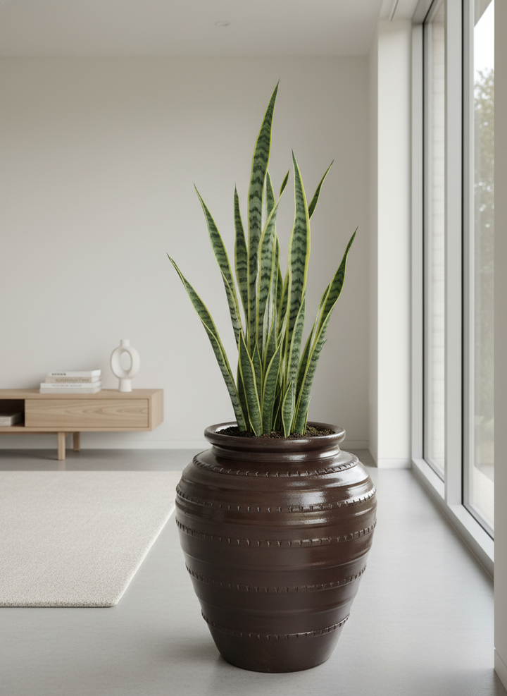 Vaso terracota artesanal feito à mão em Portugal, decoração moderna, Japandi, minimalista, rústico, mediterrânico, farmhouse, cottagecore. Decoração e design de interiores; decoração e design biofílico;