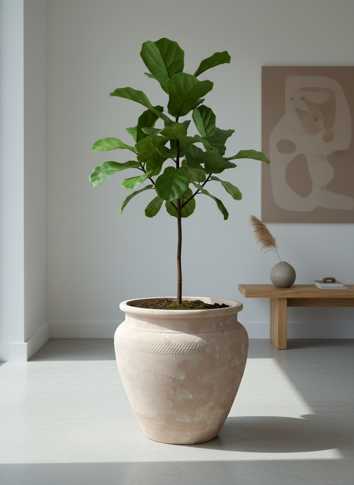 Vaso terracota artesanal Alura B feito à mão Portugal, decoração Japandi, minimalista, rústico, mediterrânico, cottagecore, farmhouse. Decoração e design de interiores; decoração e design biofílico;