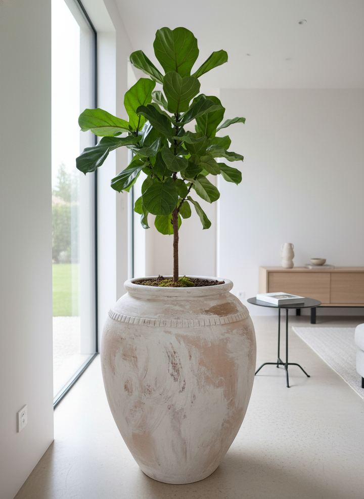 Vaso terracota artesanal  EXC 5, feito à mão Portugal, decoração wabi-sabi, farmhouse, Japandi, minimalista, mediterrânica, cottagecore e moderno. Decoração sustentável e design de interiores; design biofílico;