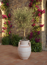 Vaso terracota artesanal Poteh A feito à mão Portugal, decoração Japandi, minimalista, rústico, farmhouse e moderno e wabi-sabi. Decoração e design de interiores; decoração e design biofílico;