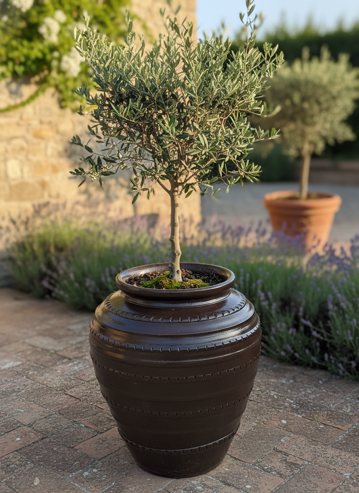 Vaso terracota artesanal feito à mão em Portugal, decoração moderna, Japandi, minimalista, rústico, mediterrânico, farmhouse, cottagecore. Decoração e design de interiores; decoração e design biofílico;