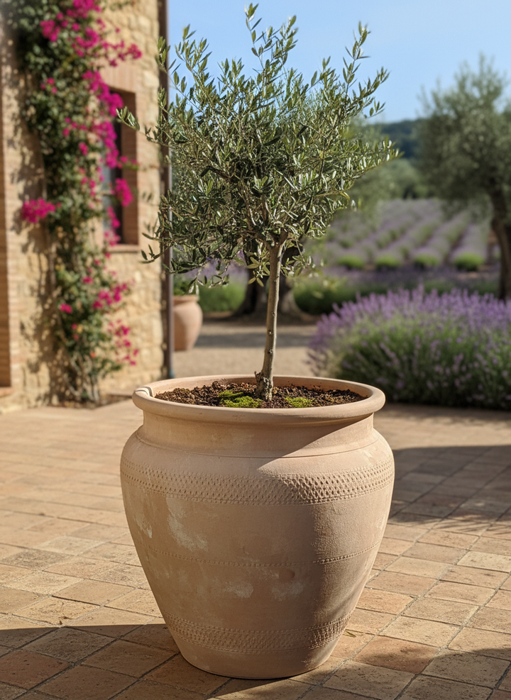 Vaso terracota artesanal Alura B feito à mão Portugal, decoração Japandi, minimalista, rústico, mediterrânico, cottagecore, farmhouse. Decoração e design de interiores; decoração e design biofílico;