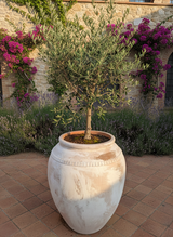 Vaso terracota artesanal  EXC 5, feito à mão Portugal, decoração wabi-sabi, farmhouse, Japandi, minimalista, mediterrânica, cottagecore e moderno. Decoração sustentável e design de interiores; design biofílico;