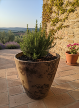 Decoração Orgânica NURA B | Vaso Terracota 42-55cm