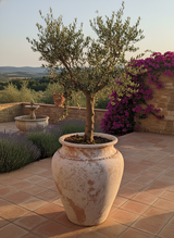 Vaso terracota artesanal Kora C feito à mão Portugal, decoração wabi-sabi, minimalista, rústico, mediterrânico, e outras. Decoração e design de interiores; decoração e design biofílico;