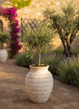 Vaso terracota artesanal Exclusivo 3 feito à mão Portugal, decoração minimalista, wabi-sabi, rústica, mediterrânico e farmehouse. Decoração e design de interiores; decoração e design biofílico;
