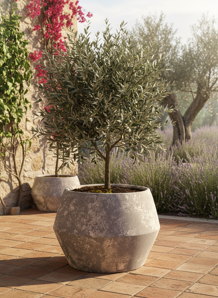 Vaso terracota artesanal Azura A feito à mão Portugal, decoração wabi-sabi, minimalista, rústico, mediterrânico, e outras. Decoração e design de interiores; decoração e design biofílico; 