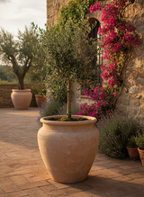 Vaso terracota artesanal Alura B feito à mão Portugal, decoração Japandi, minimalista, rústico, mediterrânico, cottagecore, farmhouse. Decoração e design de interiores; decoração e design biofílico;