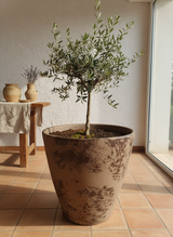Vaso terracota artesanal Nura B feito à mão Portugal, decoração Japandi, minimalista, rústico, farmhouse e moderno. Decoração e design de interiores; decoração e design biofílico;