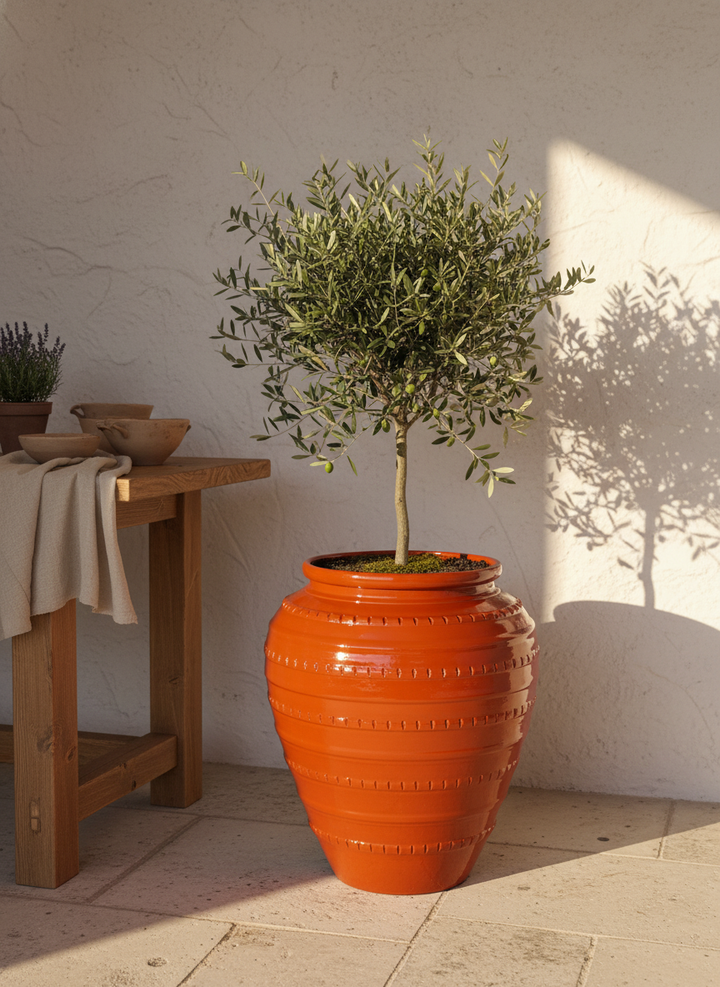 Vaso terracota artesanal handmade em Portugal, decoração moderna, Japandi, minimalista, rústico, mediterrânico, farmhouse, cottagecore. Decoração e design de interiores; decoração e design biofílico;