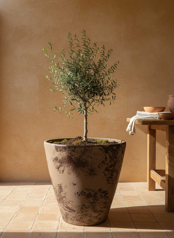Vaso terracota artesanal Nura B feito à mão Portugal, decoração Japandi, minimalista, rústico, farmhouse e moderno. Decoração e design de interiores; decoração e design biofílico;