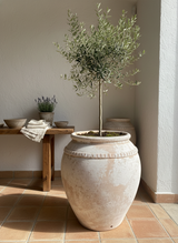 Vaso terracota artesanal  EXC 5, feito à mão Portugal, decoração wabi-sabi, farmhouse, Japandi, minimalista, mediterrânica, cottagecore e moderno. Decoração sustentável e design de interiores; design biofílico;