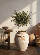 Vaso terracota artesanal Tamar B feito à mão Portugal, estilo wabi-sabi, minimalista, rústico, mediterrânico, Japandi e farmehouse. Decoração de interiores;  design biofílico;