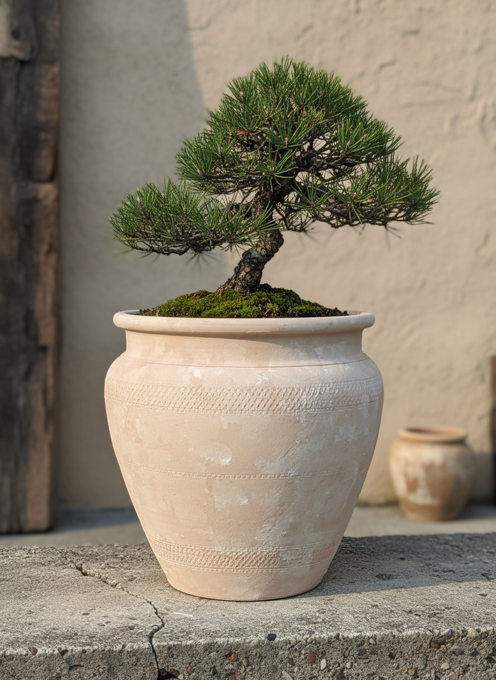 Vaso terracota artesanal Alura B feito à mão Portugal, decoração Japandi, minimalista, rústico, mediterrânico, cottagecore, farmhouse. Decoração e design de interiores; decoração e design biofílico;