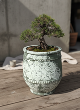 Vaso terracota artesanal Alba C feito à mão Portugal, decoração farmhouse, Japandi, minimalista, mediterrânica, cottagecore e moderno. Decoração e design de interiores; decoração e design biofílico;