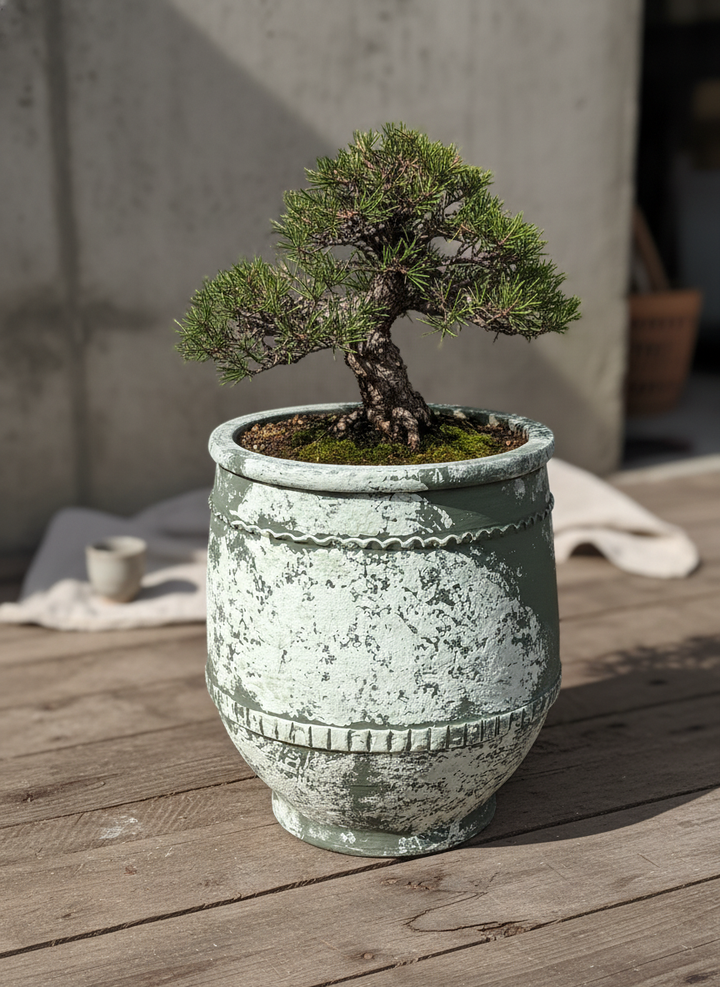 Vaso terracota artesanal Alba C feito à mão Portugal, decoração farmhouse, Japandi, minimalista, mediterrânica, cottagecore e moderno. Decoração e design de interiores; decoração e design biofílico;