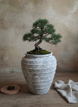Vaso terracota artesanal Marua E feito à mão Portugal. Decoração e design biofílico; Decoração nos estilos wabi-sabi, Japandi, minimalista, rústico, mediterrânico, farmehouse, cottage. Design de interiores; 