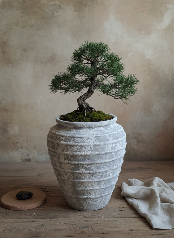 Vaso terracota artesanal Marua E feito à mão Portugal. Decoração e design biofílico; Decoração nos estilos wabi-sabi, Japandi, minimalista, rústico, mediterrânico, farmehouse, cottage. Design de interiores; 