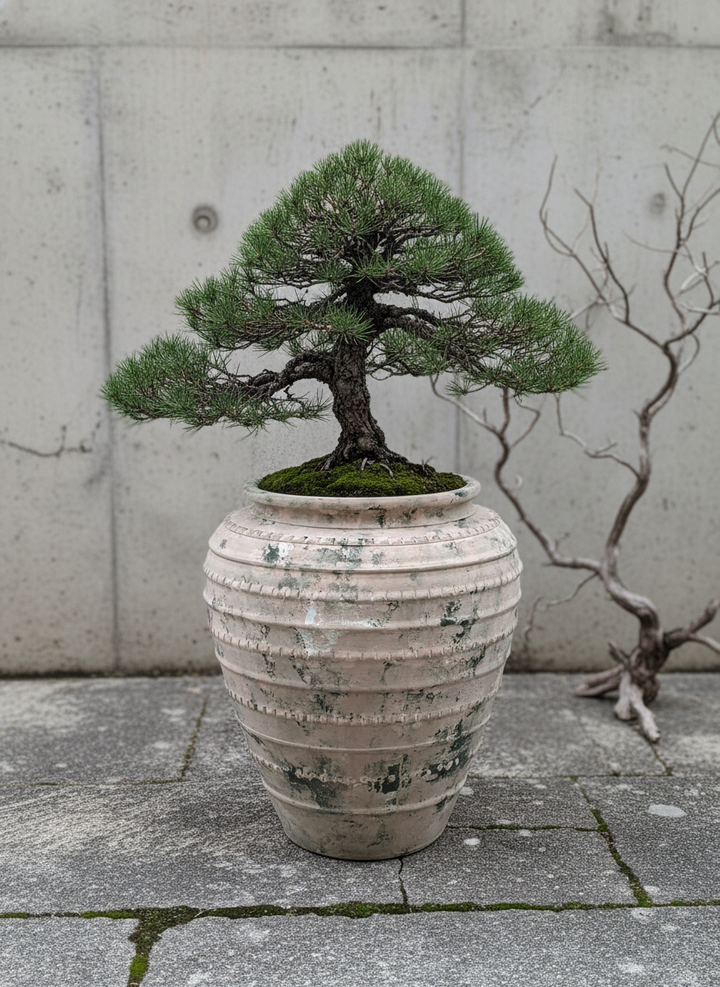 Vaso terracota artesanal feito à mão em Portugal, decoração Japandi, minimalista, rústico, mediterrânico, farmhouse, modern decor. Decoração e design de interiores; decoração e design biofílico;