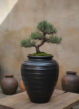 Vaso terracota artesanal Safi D feito à mão Portugal, decoração wabi-sabi, minimalista, rústico, mediterrânico, e outras. Decoração e design de interiores; decoração e design biofílico;