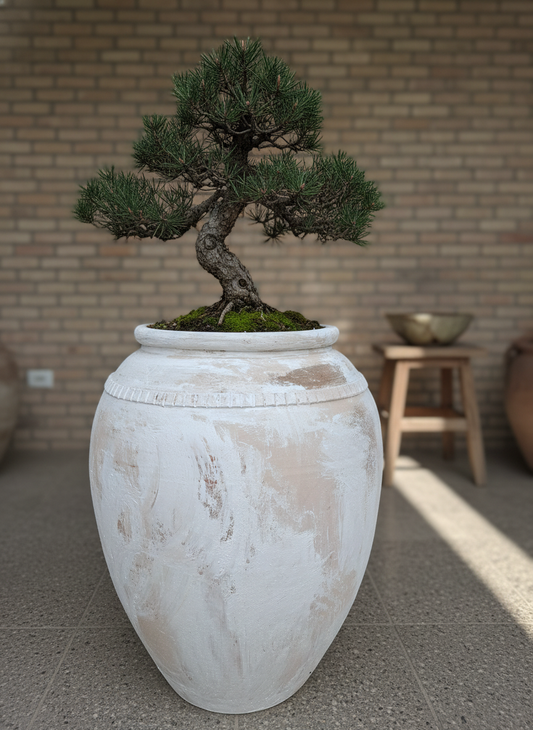 Vaso terracota artesanal  EXC 5, feito à mão Portugal, decoração wabi-sabi, farmhouse, Japandi, minimalista, mediterrânica, cottagecore e moderno. Decoração sustentável e design de interiores; design biofílico;