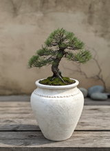 Vaso terracota artesanal Kora B feito à mão Portugal, decoração wabi-sabi, minimalista, rústico, mediterrânico, e outras. Decoração e design de interiores; decoração e design biofílico; 