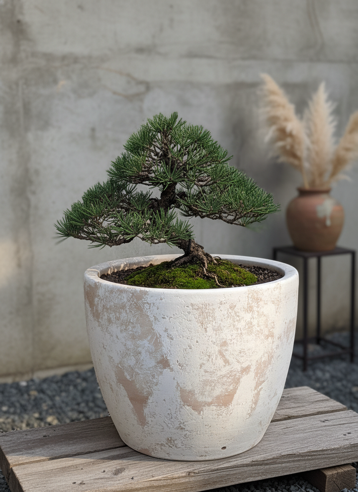 Vaso terracota artesanal Nahura A feito à mão Portugal, decoração wabi-sabi, minimalista, rústico, mediterrânico, e outras. Decoração e design de interiores; decoração e design biofílico;
