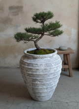 Vaso terracota artesanal Marua E feito à mão Portugal. Decoração e design biofílico; Decoração nos estilos wabi-sabi, Japandi, minimalista, rústico, mediterrânico, farmehouse, cottage. Design de interiores; 