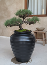 Vaso terracota artesanal Safi D feito à mão Portugal, decoração wabi-sabi, minimalista, rústico, mediterrânico, e outras. Decoração e design de interiores; decoração e design biofílico;