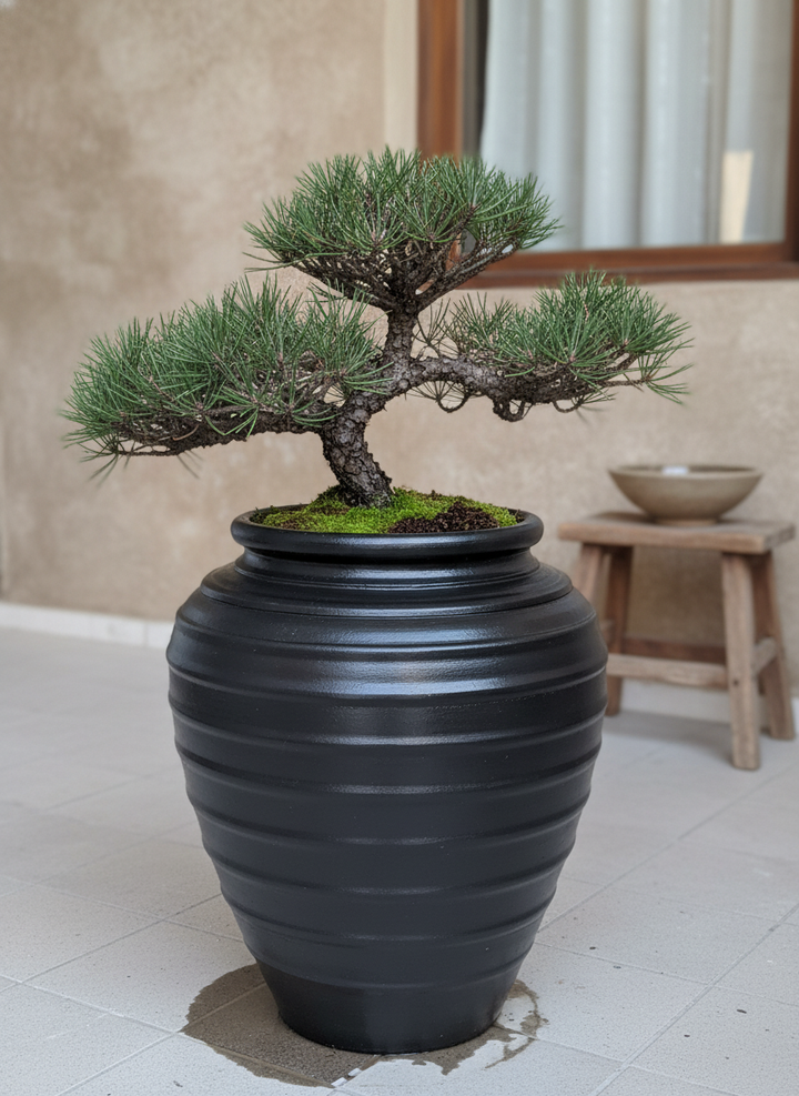 Vaso terracota artesanal Safi D feito à mão Portugal, decoração wabi-sabi, minimalista, rústico, mediterrânico, e outras. Decoração e design de interiores; decoração e design biofílico;