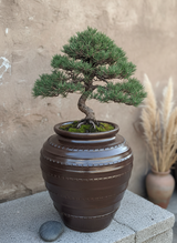 Vaso terracota artesanal feito à mão em Portugal, decoração moderna, Japandi, minimalista, rústico, mediterrânico, farmhouse, cottagecore. Decoração e design de interiores; decoração e design biofílico;