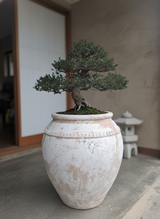 Vaso terracota artesanal  EXC 5, feito à mão Portugal, decoração wabi-sabi, farmhouse, Japandi, minimalista, mediterrânica, cottagecore e moderno. Decoração sustentável e design de interiores; design biofílico;