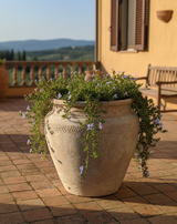 Vaso terracota artesanal Alura A feito à mão Portugal, decoração wabi-sabi, minimalista, rústico, mediterrânico, e outras. Decoração e design de interiores; decoração e design biofílico;